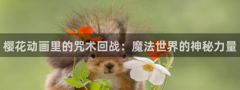 囧次元app官方正版